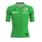 Tour de France : jaune, vert, à pois... Que représentent les différents maillots ?