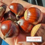 Fruit d'automne : marron ou châtaigne, comment reconnaître les fruits comestibles en forêt