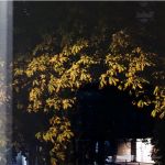 un pli du bord du monde