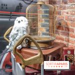 Wizarding World, la boutique officielle Harry Potter au Village JouéClub de Paris