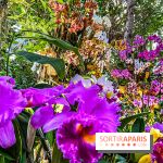 Exposition Mille et une Orchidées 2020 au Jardin des Plantes - les photos
