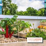 Le Perchoir ferme urbaine Porte de Versailles