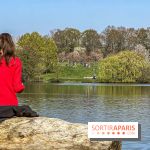 Les cerisiers et arbres en fleurs de l’Arboretum de Chevreloup