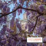 La Mosquée de Paris et son jardin en fleurs