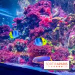 L'Aquarium Tropical de la Porte Dorée