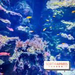 L'Aquarium Tropical de la Porte Dorée