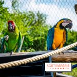 Parrot World, le parc animalier immersif d'Île-de-France