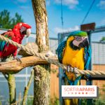 Parrot World, le parc animalier immersif d'Île-de-France