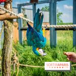Parrot World, le parc animalier immersif d'Île-de-France