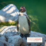 Parrot World, le parc animalier immersif d'Île-de-France