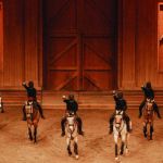 Académie Équestre de Versailles