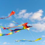 Festival de Cerfs-Volants : Base 2017