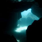 L'appel des profondeurs : l'exposition dans les abysses au Musée de la marine 