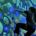 Vertical World : salle d'escalade à Montparnasse