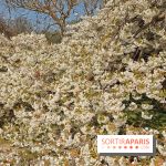 La Fête des sens s'invite au Jardin des Plantes