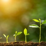 Naturally, le salon bio qui célèbre la nature à Porte de Versailles 