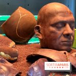 Chocolats de Noël 2021 Patrick Roger