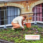 Des ateliers hors du temps pour cultiver le safran sur les toits de Paris