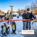 Le March&eacute; de No&euml;l des Tuileries