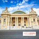 Musée et monument visuel – Travaux du Grand Palais
