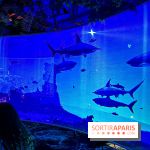 Ephemera, le premier restaurant immersif à Paris