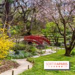 Les jardins du Musée Albert Kahn, nos photos