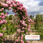 Photos : La Roseraie du val-de-Marne