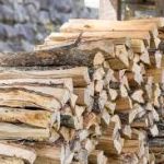 Pénurie de bois de chauffage : quelles seront les conséquences ?