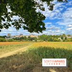 Houdan, ville médiévale et balade historique dans les Yvelines