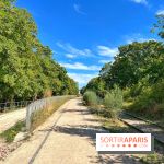 Balade sur la Petite Ceinture du 14 au 16e arrondissement : un sentier nature dépaysant