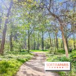 Visuels Paris - forêt bois de Boulogne nature soleil printemps