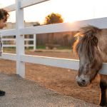 Des balades à dos de poney dans la Vallée de Chevreuse, à la ferme du Vieux Moulin (91)