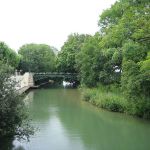 L'île Charentonneau, l'espace naturel aux portes de Paris pour se croire seuls au monde