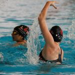 visuel piscine