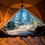 Camping la musardiere à Milly