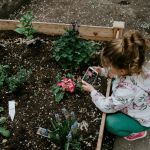 visuel jardinage