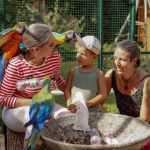 Devenez soigneur le temps d'une journée à la Plume de Vallombreuse (77)