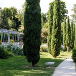 Parc de Cluny Thiais