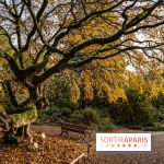 Jardin alpin automne