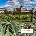 Le Potager du Roi de Versailles, Journées du Patrimoine 