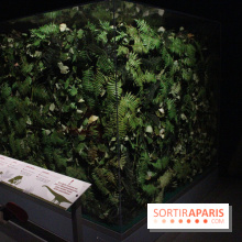 Dinosaure, la vie en grand au Muséum