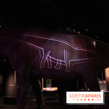 Dinosaure, la vie en grand au Muséum