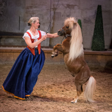 Peau d'Âne, le Spectacle de Noël de Chantilly