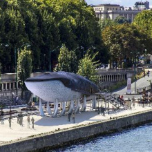Une grande baleine bleue arrive à Paris