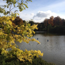 La COP21 s'invite au parc Montsouris 