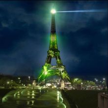 COP21 : One Heart One Tree, une forêt à la Tour Eiffel