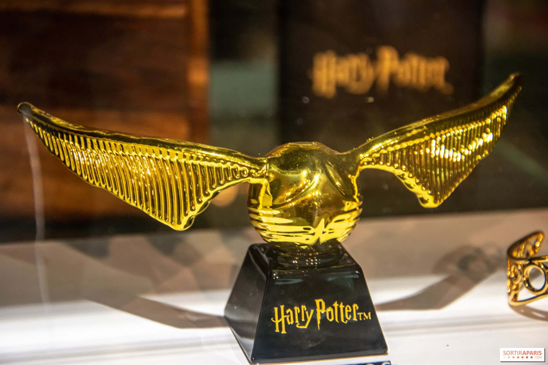 Harry Potter Baguettes magiques - Dès 8 ans - Librairie de France