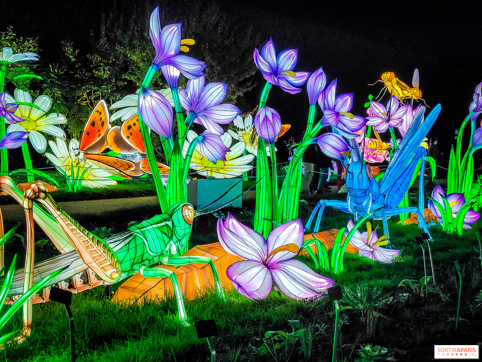 Festival des lumières 2022 au Jardin des Plantes découvrez ces Mini