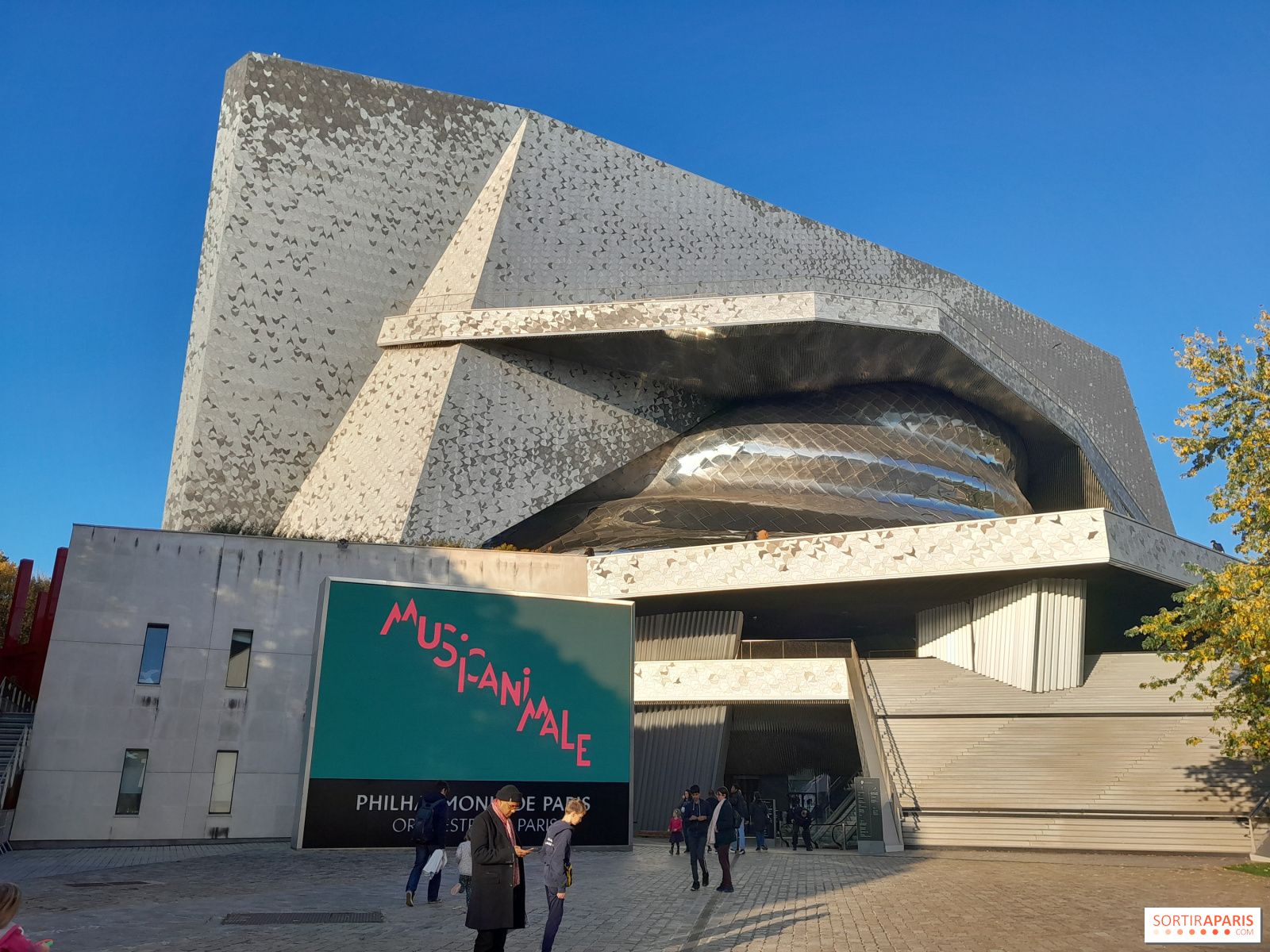 Rugby World Cup 2023: free concerts and matches at the Philharmonie de Paris  