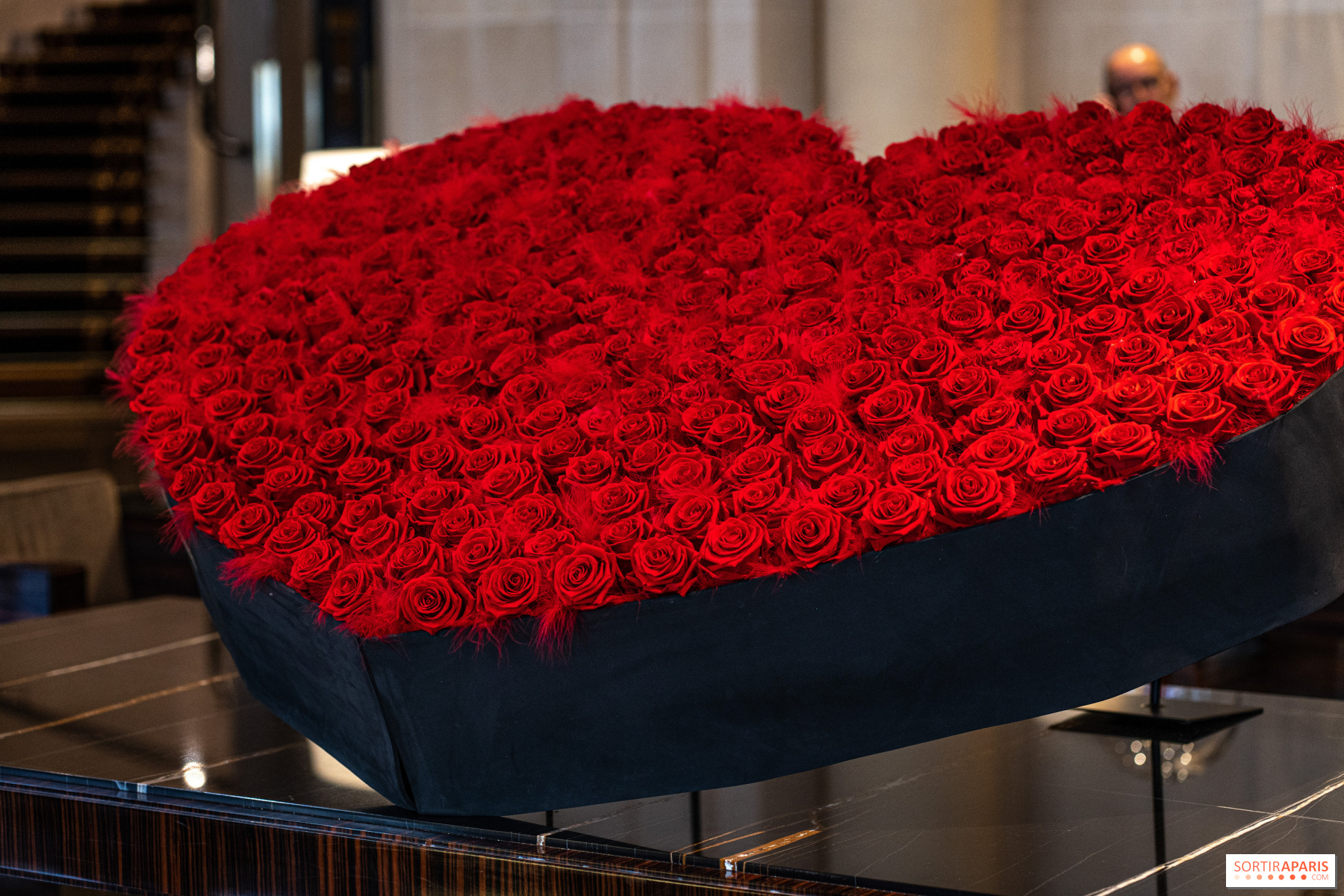 Histoire et tradition : pourquoi la rose rouge est le symbole de l'amour ?  - Sortiraparis.com